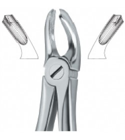 Molars 18A