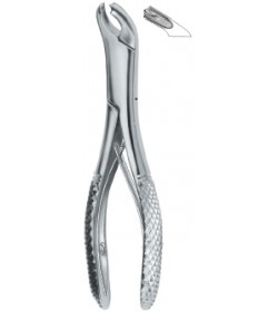 Molars 17SK