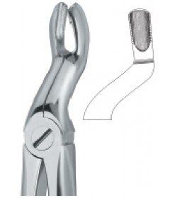 Third Molars 67 A