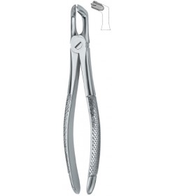 Third Molars 79