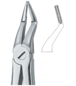 Roots, Very Fine Beak 51A