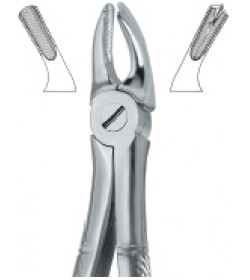 Molars , Left 39L