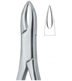 Henahan Incisors 1A