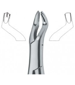 Molars , Right 53R