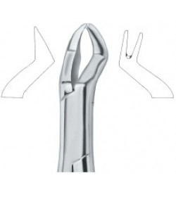 Nevius Molars , Right 88R