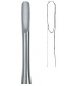 Apical 3