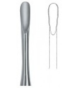 Apical 4