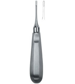 Apical 301