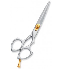 Professional hair Cutting Scissors