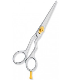 Professional hair Cutting Scissors