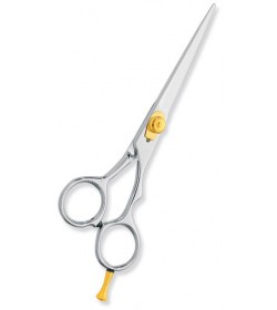 Professional hair Cutting Scissors