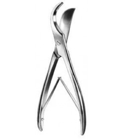 Rib Shear