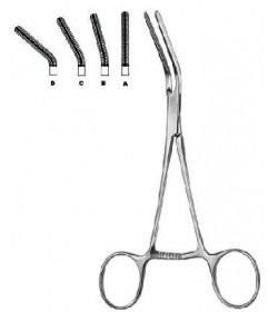 Dardik