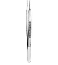 Dissecting Forceps