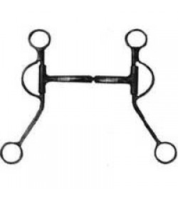 Equestrian Equipment